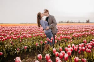 Roozengaarde Tulip Festival