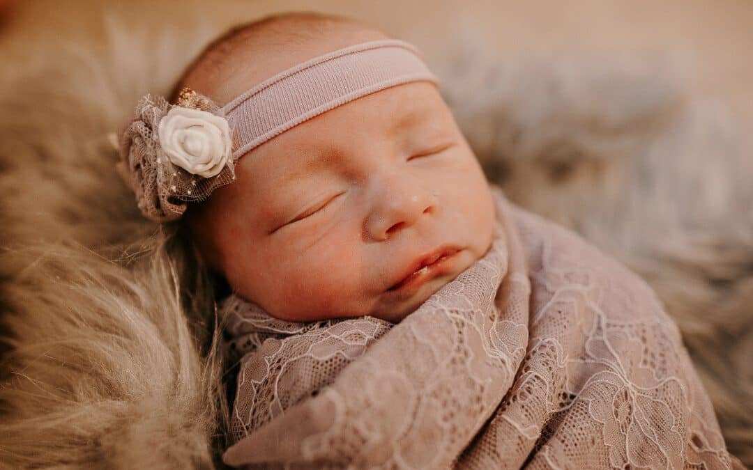 Newborn Photography Seattle | Ziegler Family