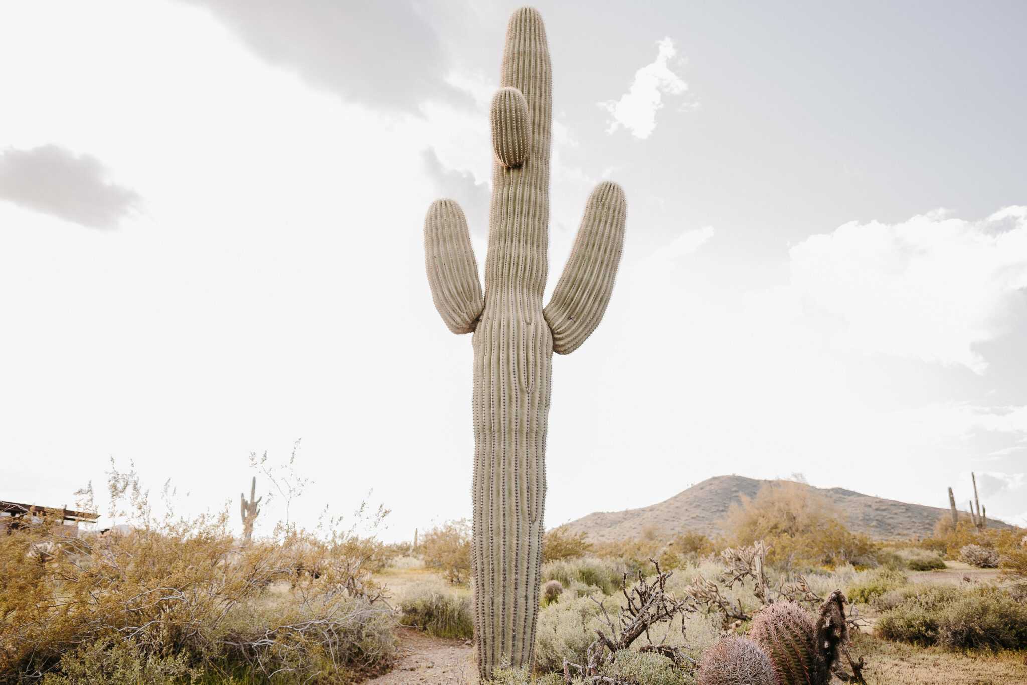 Arizona Elopement Photographer. Kastle H Photography LLC. Kasandra and Tyler. Apache Wash Trailhead Phoenix, Arizona